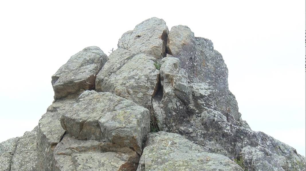 Korkudan sokağa çıkamıyorlar! 'Birisi öldükten sonra mı gelip alacaklar?' 10